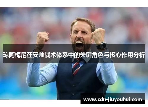 琼阿梅尼在安帅战术体系中的关键角色与核心作用分析