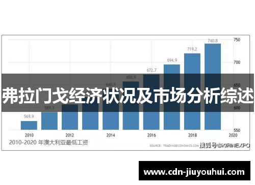 弗拉门戈经济状况及市场分析综述