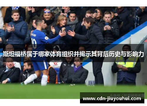 斯坦福桥属于哪家体育组织并揭示其背后历史与影响力