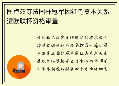 图卢兹夺法国杯冠军因红鸟资本关系遭欧联杯资格审查